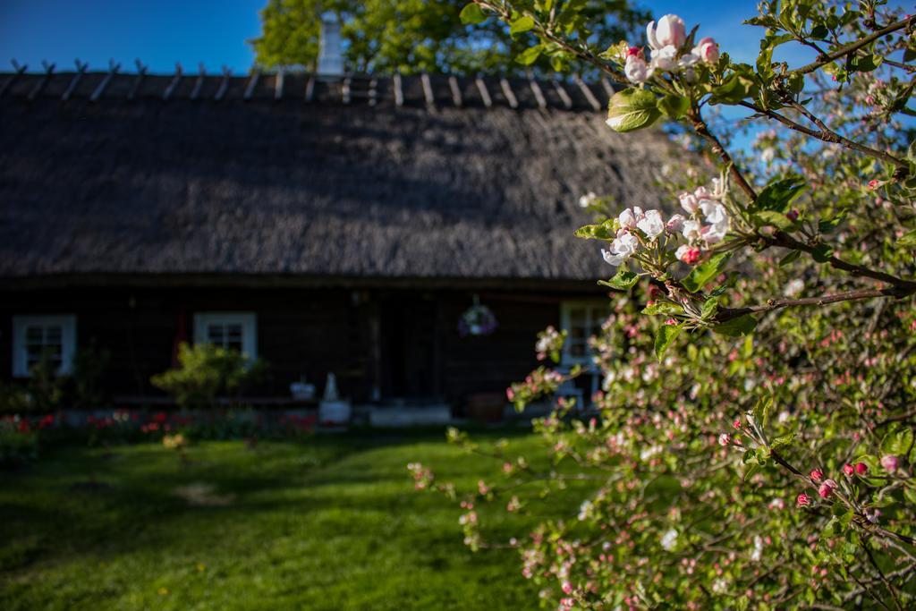 Kuusetuka Tourism Farm Villa Pahkla Buitenkant foto