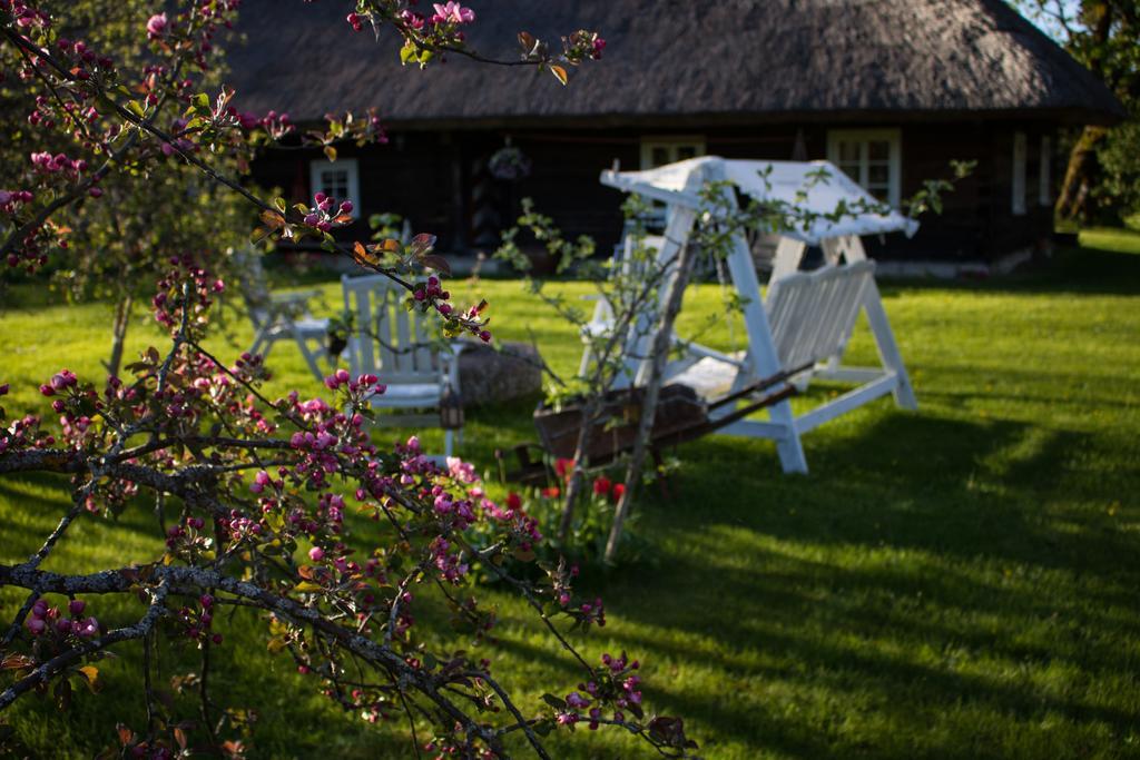 Kuusetuka Tourism Farm Villa Pahkla Buitenkant foto