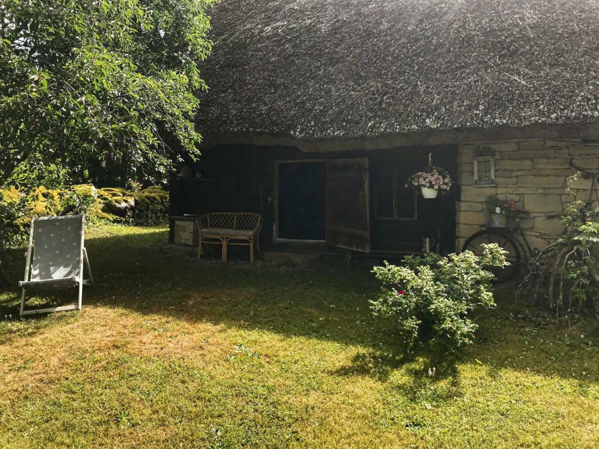 Kuusetuka Tourism Farm Villa Pahkla Buitenkant foto